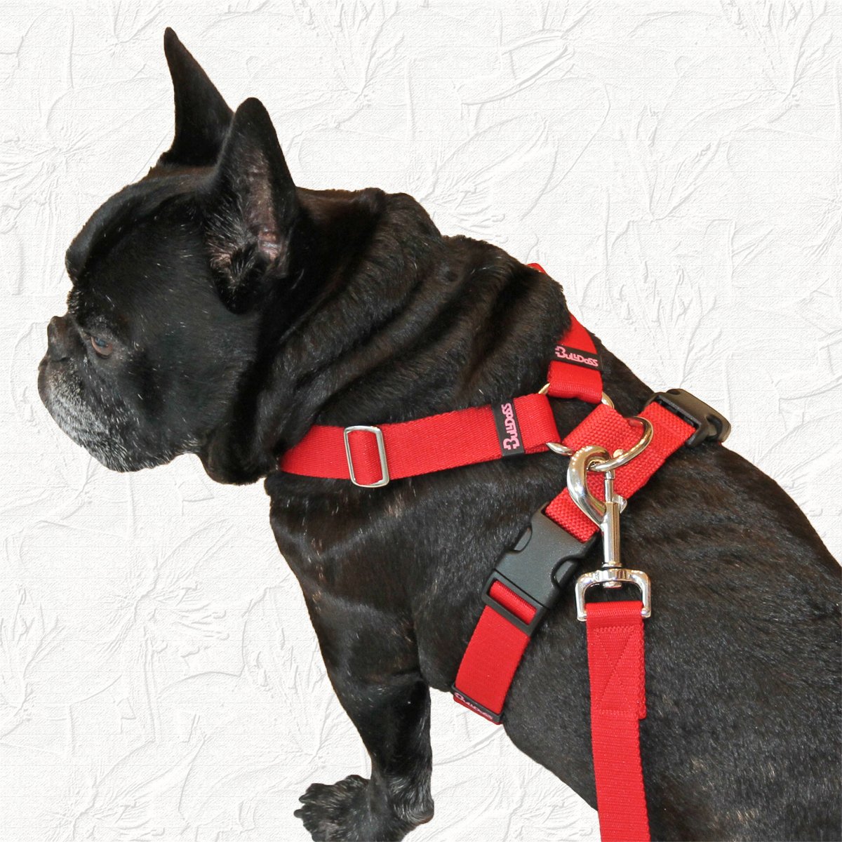 Amazon.co.jp: ブルドス (Bulldoss) ハートハーネス レッド Mサイズ